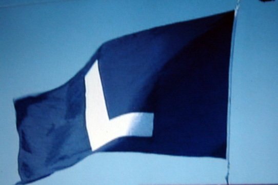 cubslflag.jpg